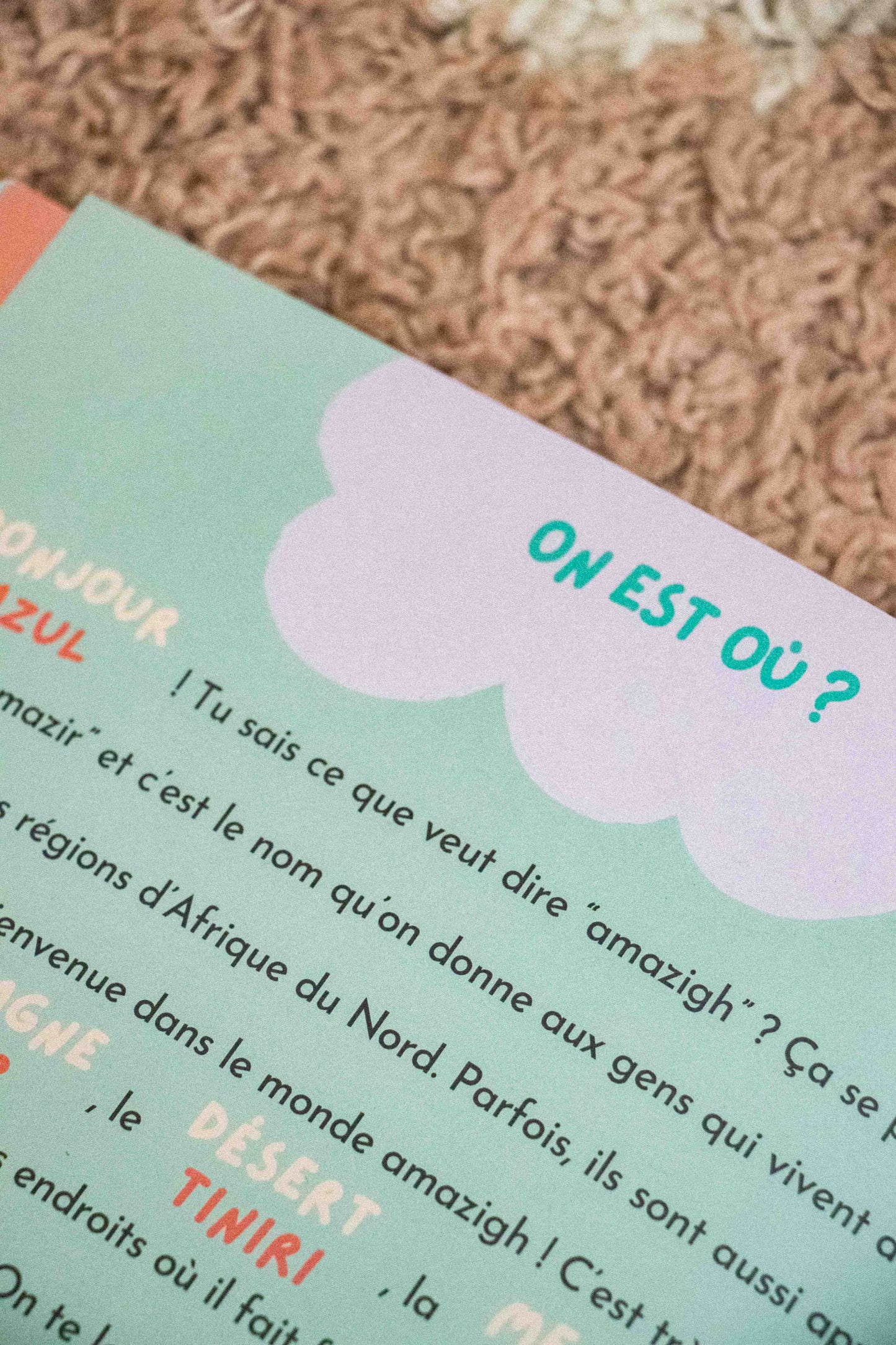 Prolongation abonnement - numéros 2 à 6 - LES P'TITS MAZOUZ