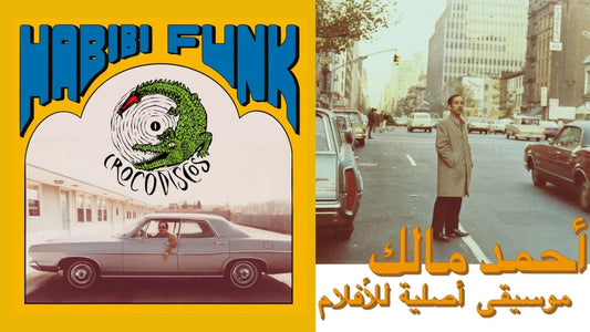 12 artistes de funk en Afrique du Nord, le groove oublié des années 70-80