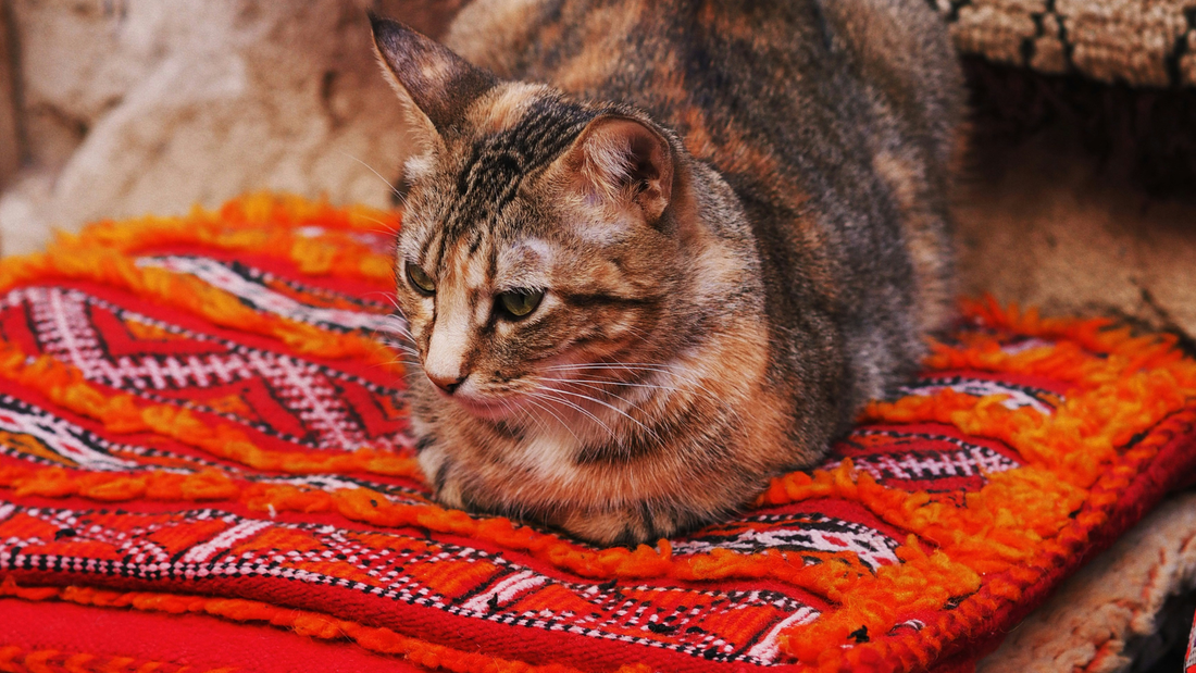Connaissez-vous ces tapis amazighs ?