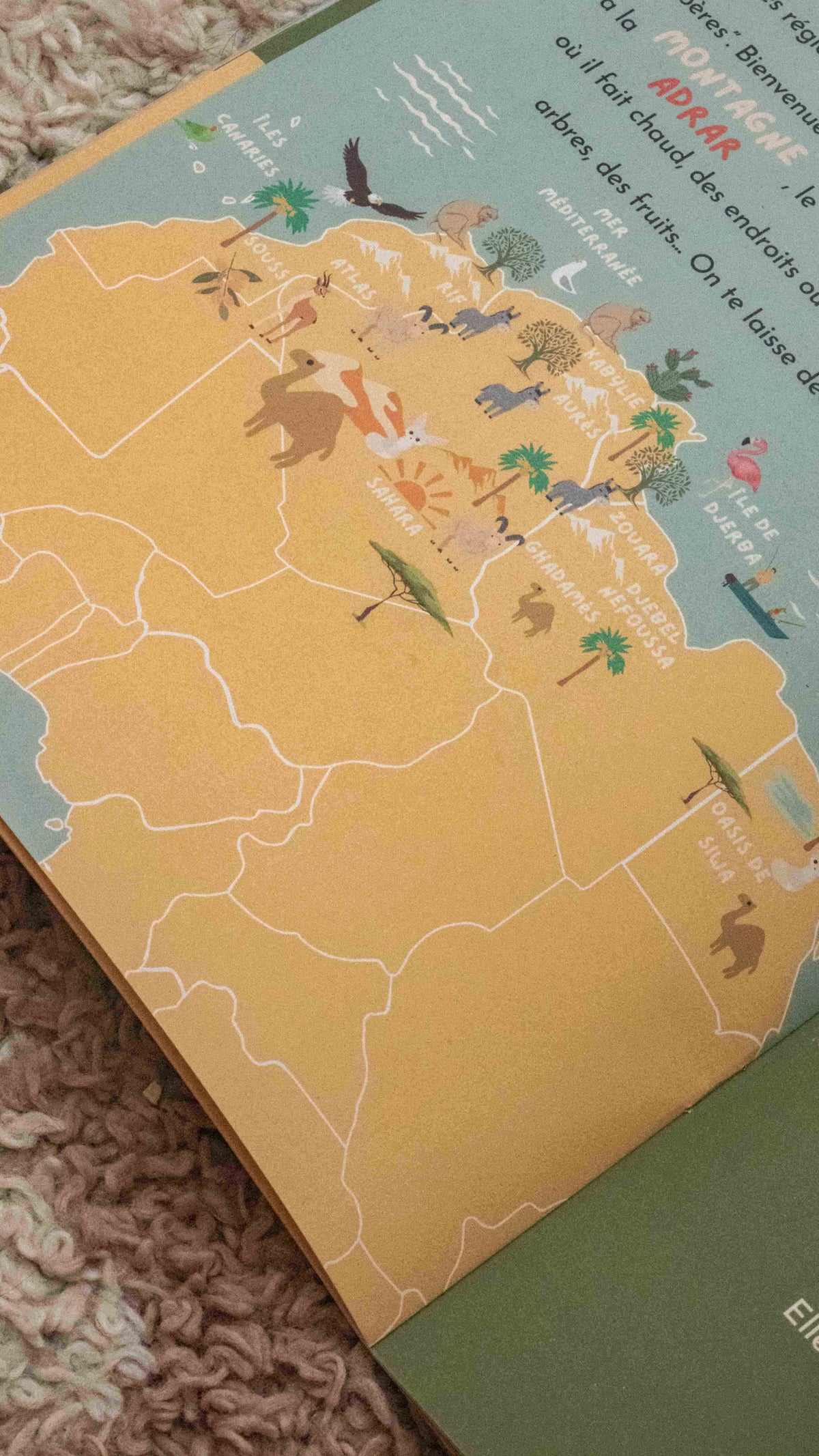 Le monde amazigh et ses régions