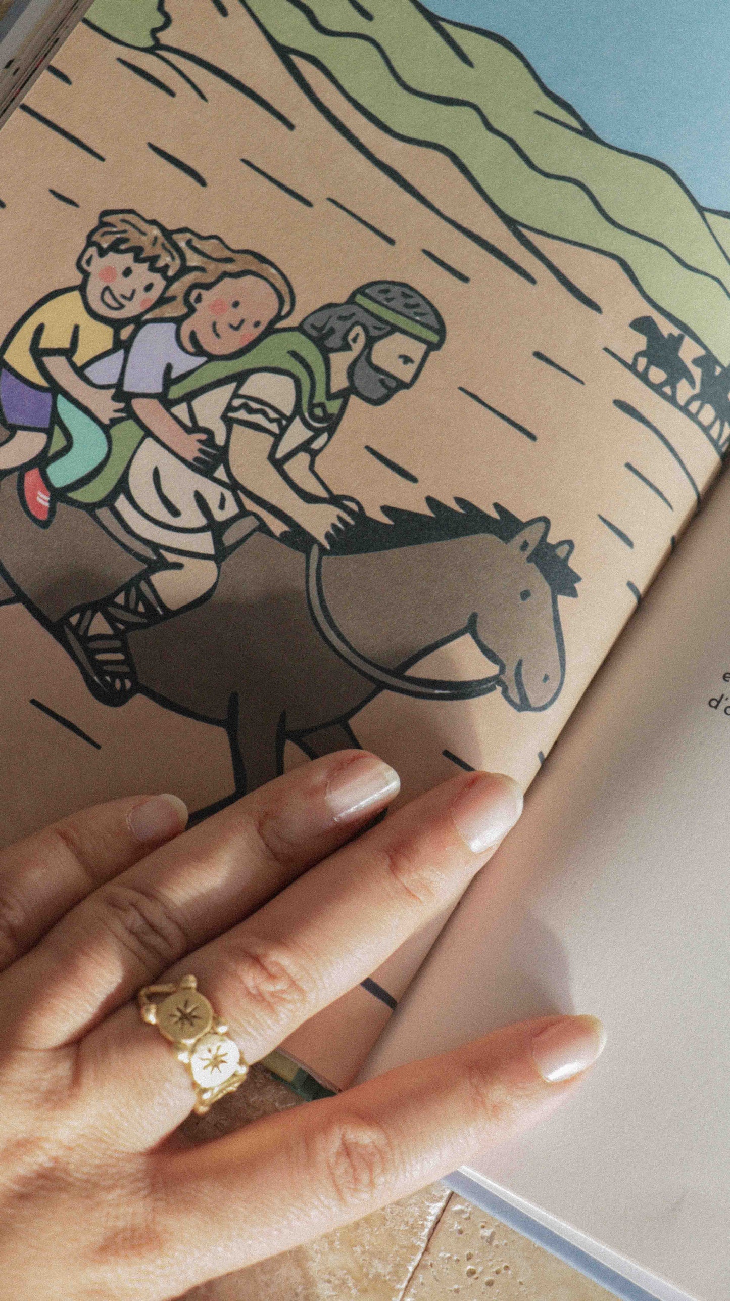 LIVRE - Le cheval du roi Massinissa - Les aventures de Lila et Dali