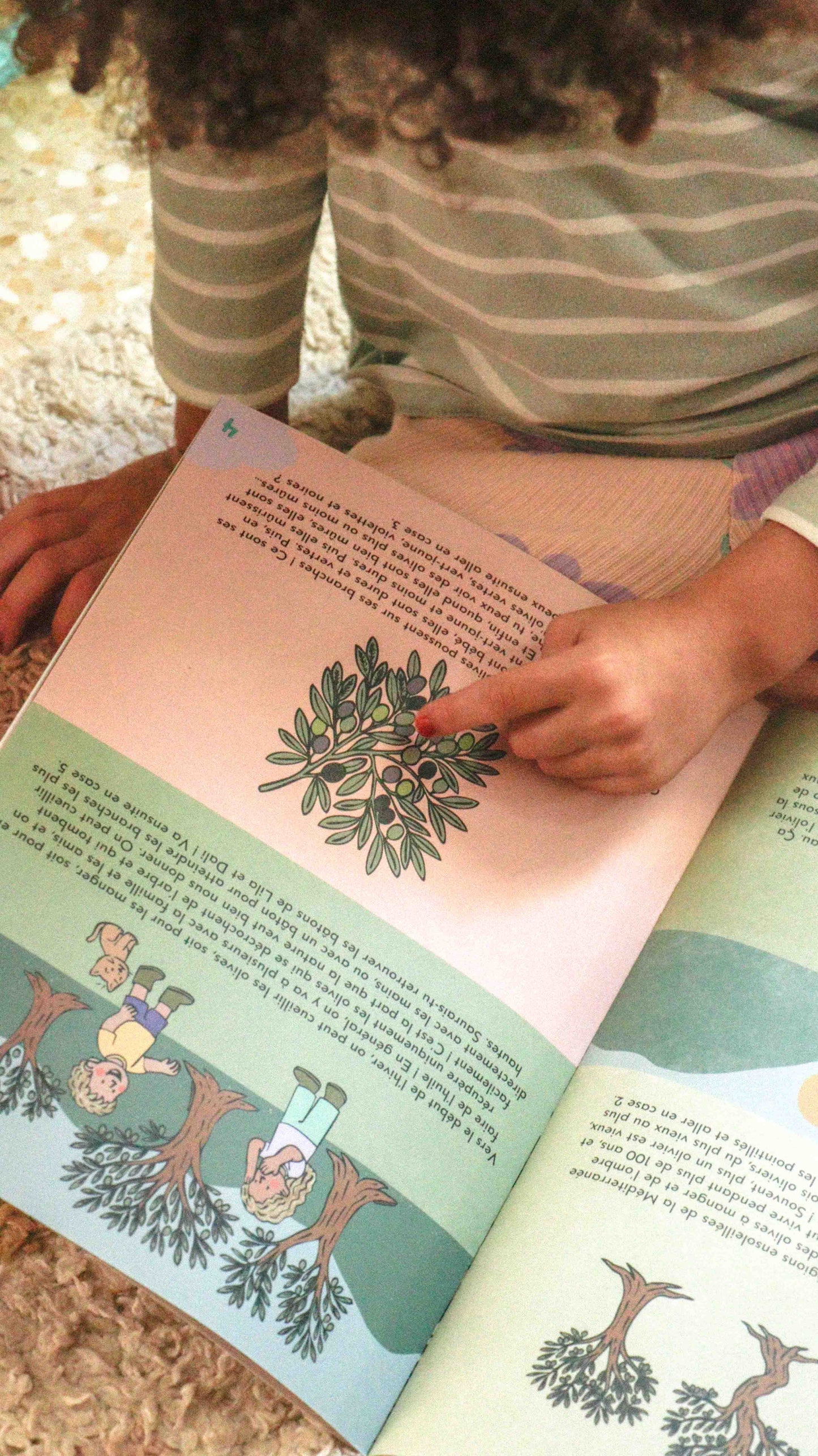 L'huile d'olive - LES P'TITS MAZOUZ