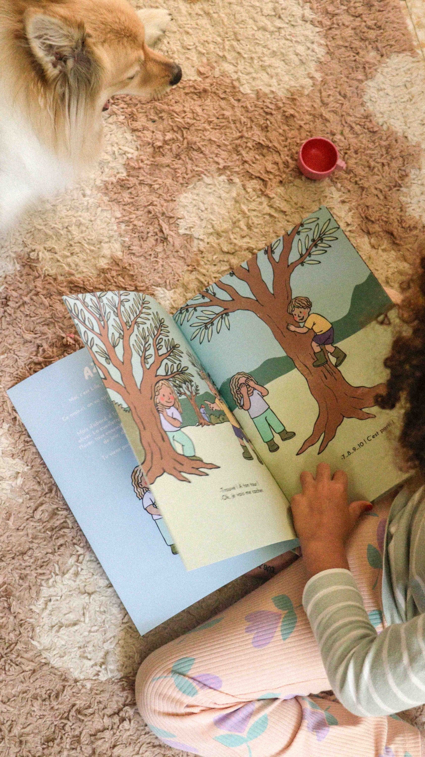 L'huile d'olive - LES P'TITS MAZOUZ