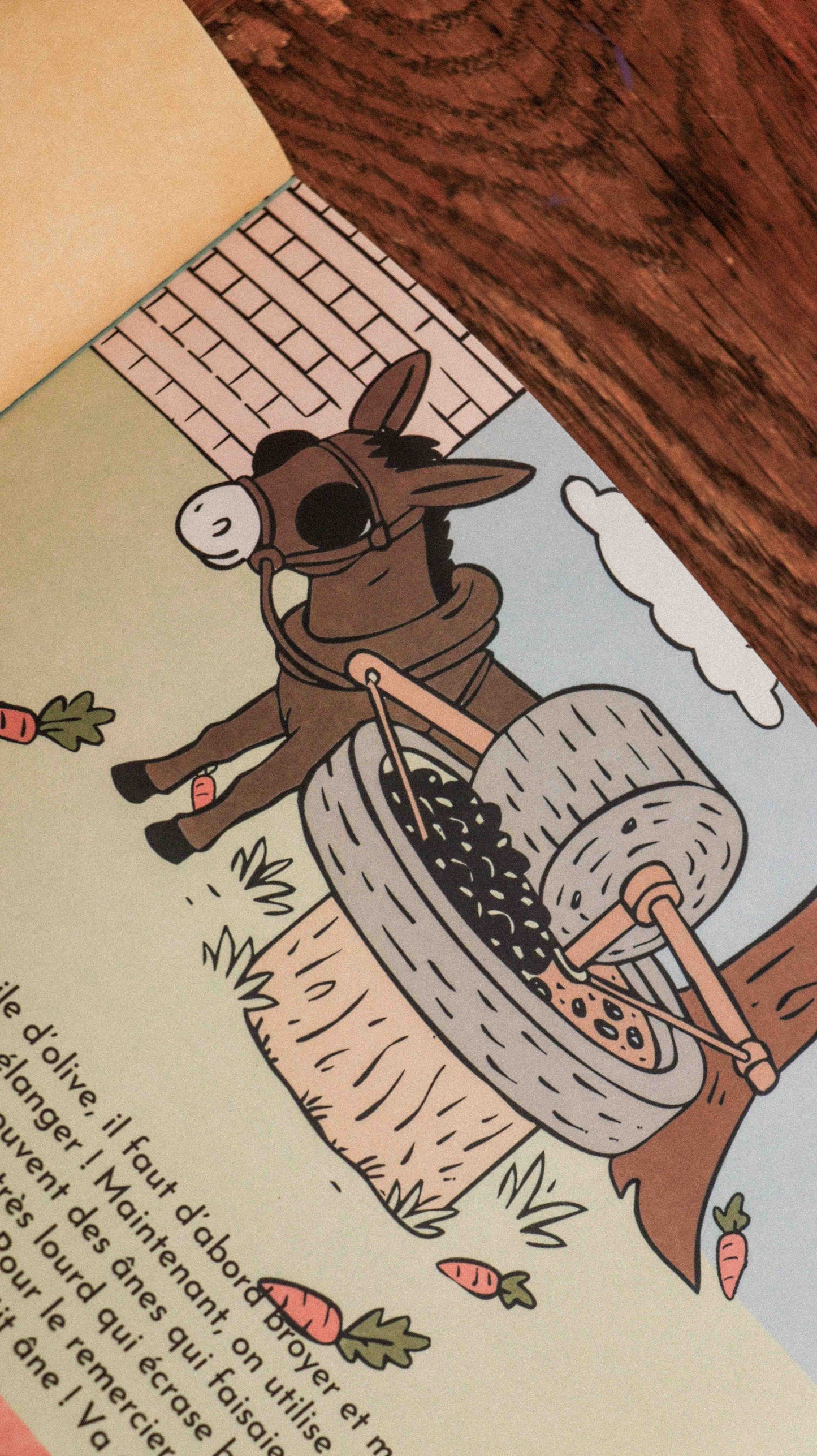 L'huile d'olive - LES P'TITS MAZOUZ