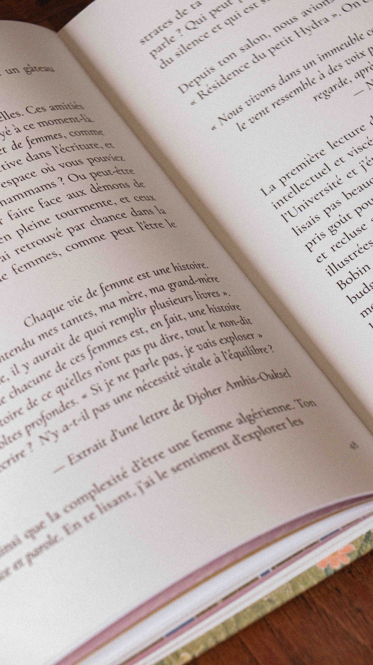 LIVRE - L'encre et le figuier (précommande)