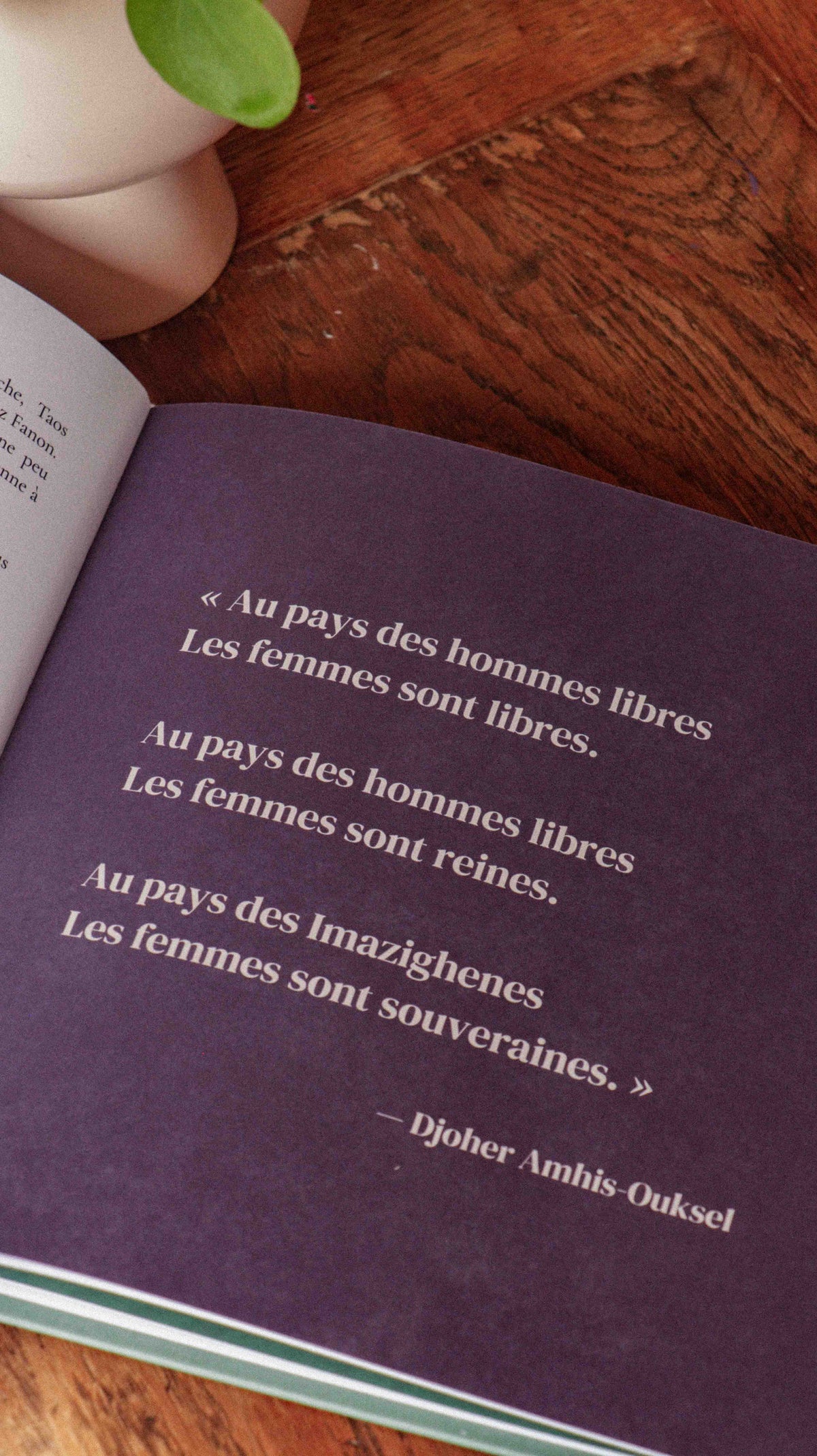 LIVRE - L'encre et le figuier (précommande)