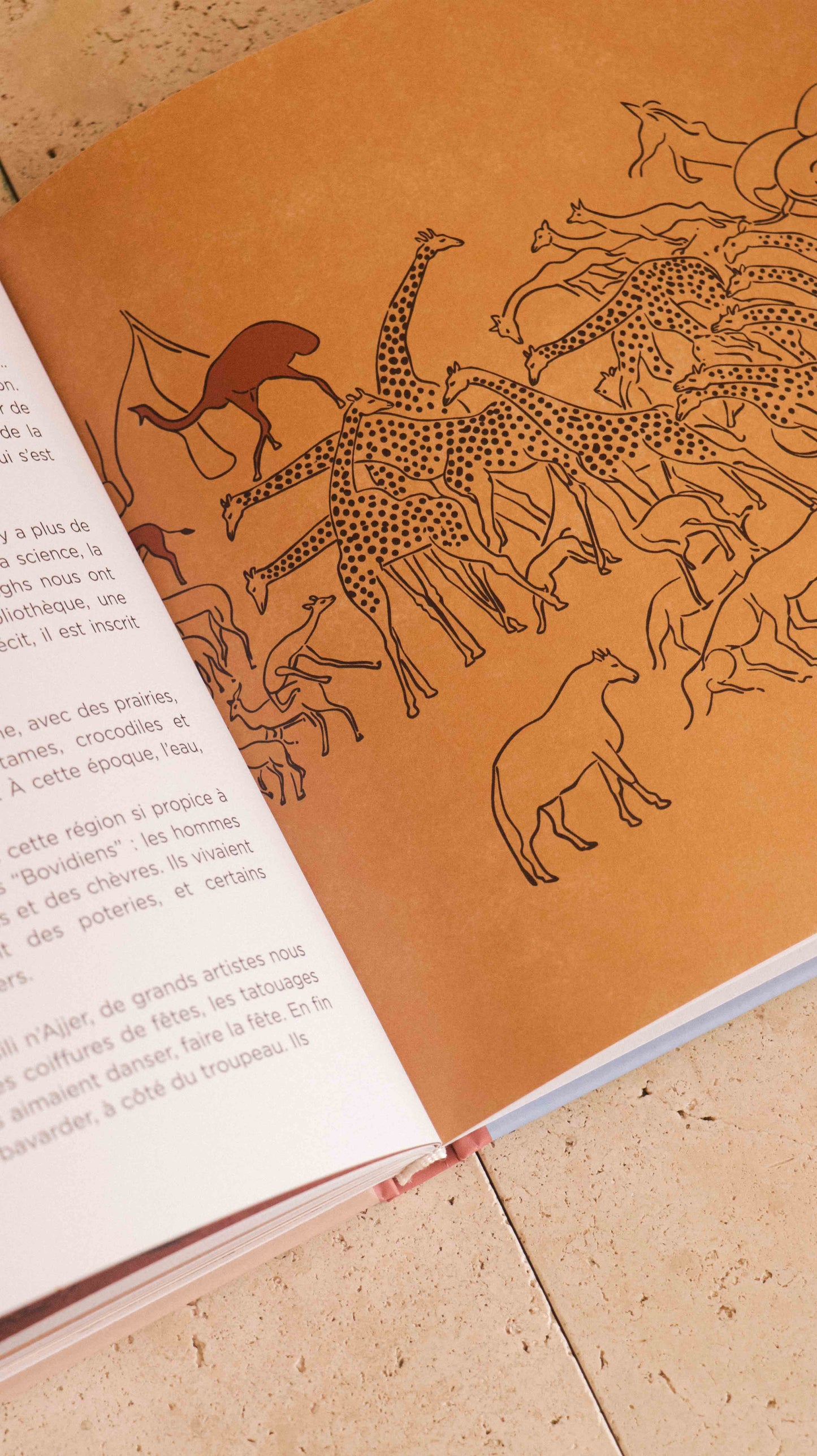 LIVRE - Lieux merveilleux du monde amazigh (en précommande)