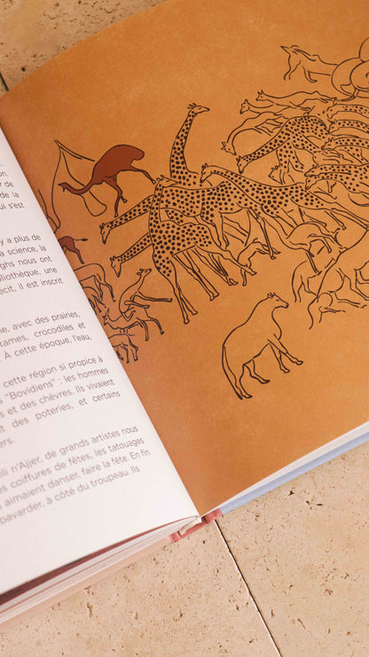 LIVRE - Lieux merveilleux du monde amazigh